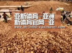 种植基地二