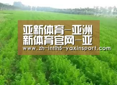种植基地四