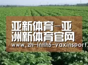 种植基地五(图1)