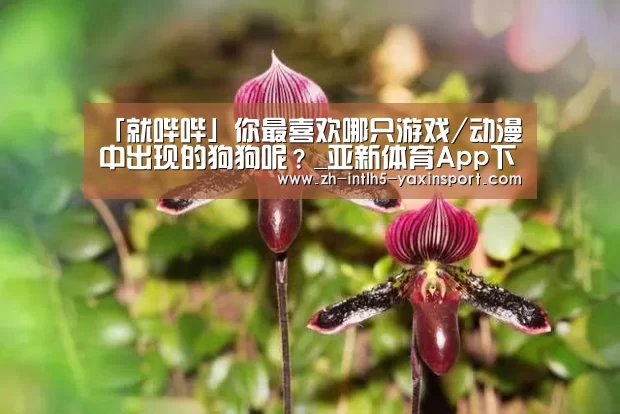 「就哔哔」你最喜欢哪只游戏/动漫中出现的狗狗呢?_亚新体育App下载(图1) 亚新体育手机应用